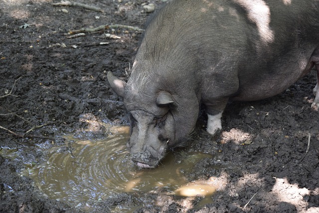 也是为了塑 也是为了塑