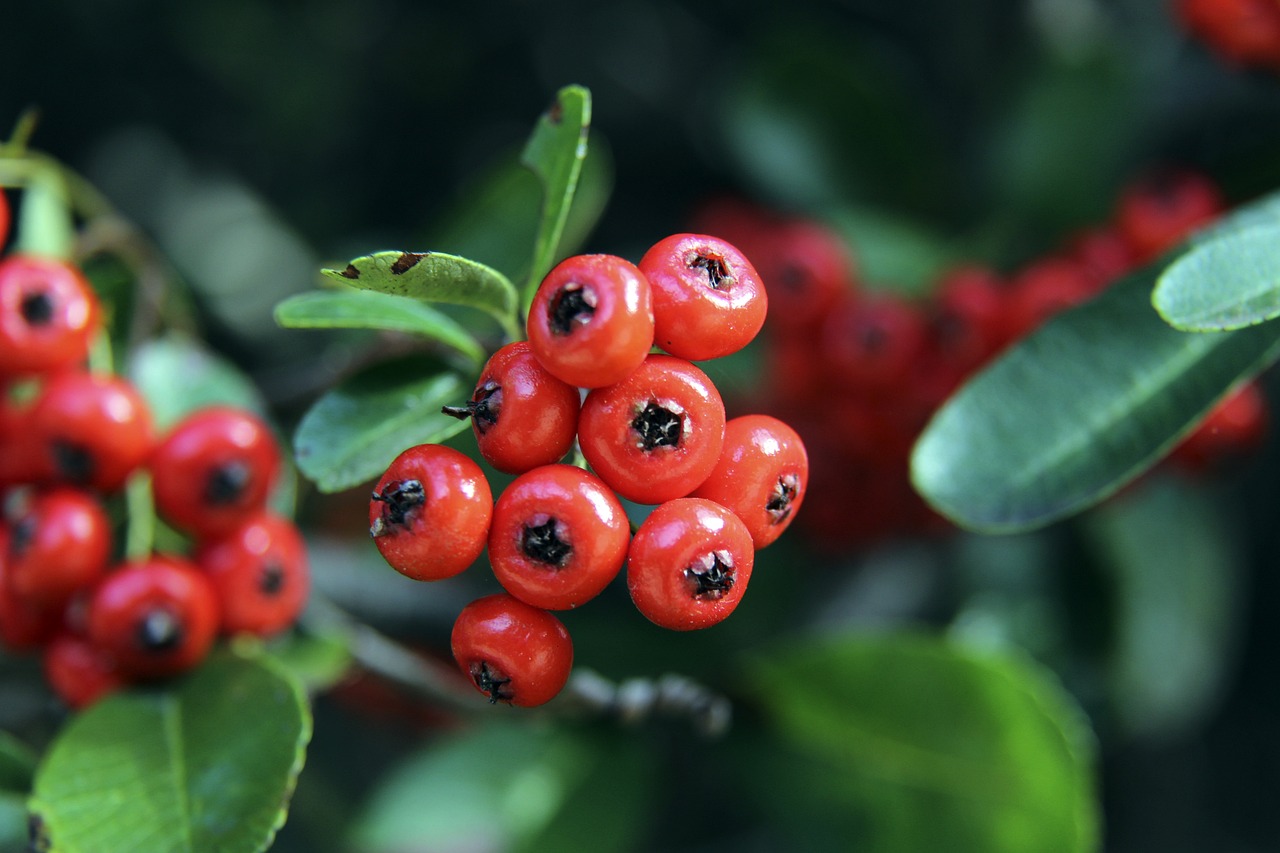 被委以重任 被委以重任