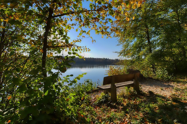 多媒體互動 多媒體互動