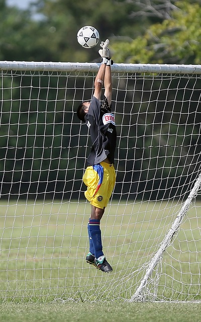 经过多轮激 经过多轮激