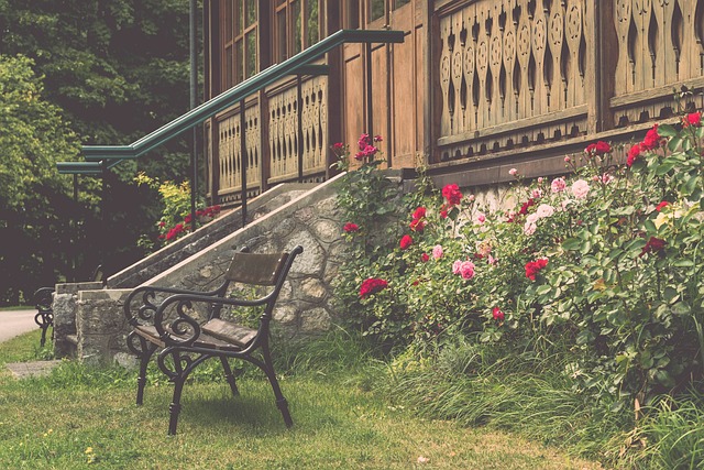 佩雷拉往往 佩雷拉往往